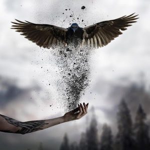 Meet your Posher, Hazel